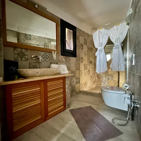 Golden Moments Luxury Stone B Villa Mesaria